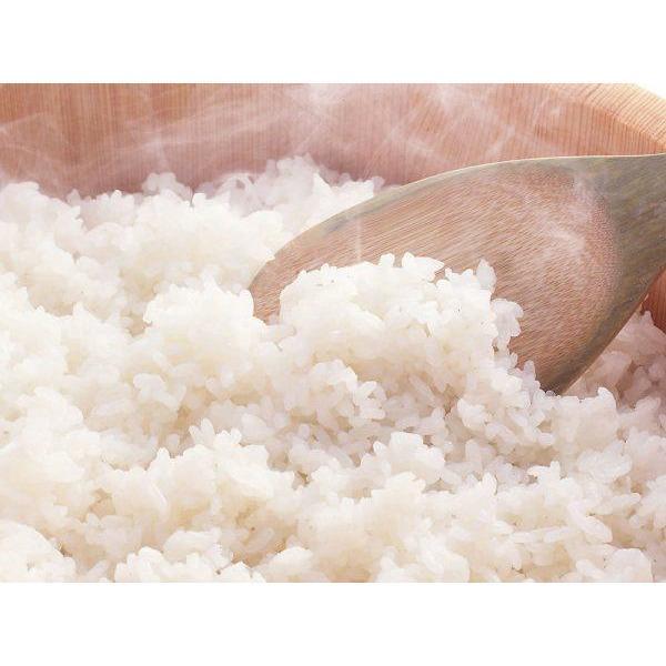 Sushi Rice(Mixture with vinegar)